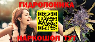 сатива Пенза