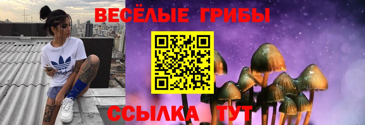 Галлюциногенные грибы GOLDEN TEACHER  Галлюциногенные грибы мицелий  Вход с VPN  Богданович 